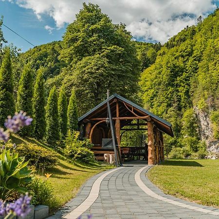 Apartamenty Magia Gor Szczawnica Ngoại thất bức ảnh